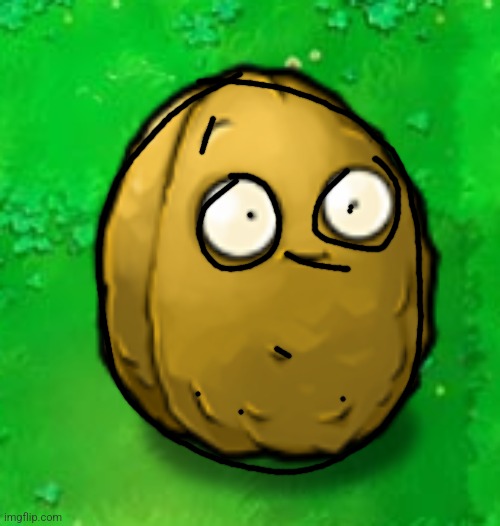 Wall-Nut | image tagged in wall-nut | made w/ Imgflip meme maker