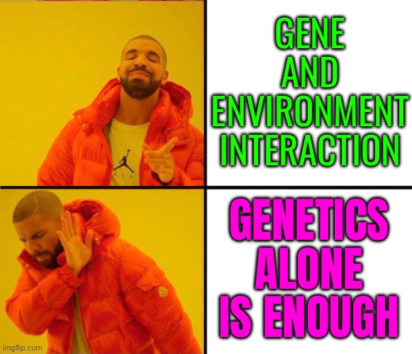 Gene–Environment Interactions | GENE
AND
ENVIRONMENT
INTERACTION; GENETICS ALONE IS ENOUGH | image tagged in drake yes no reverse,dna,genetics,environment,humanity,humans | made w/ Imgflip meme maker