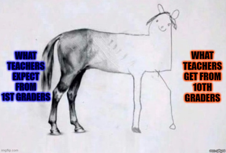 Expectations | WHAT TEACHERS EXPECT FROM 1ST GRADERS; WHAT TEACHERS GET FROM 10TH GRADERS | image tagged in horse drawing | made w/ Imgflip meme maker