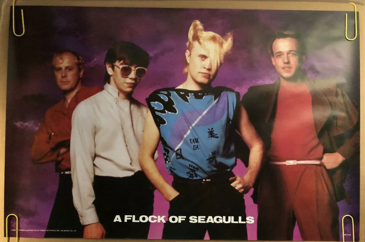 Flock of Seagulls Blank Meme Template