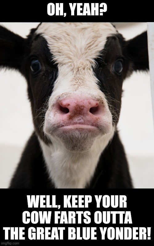 OH, YEAH? WELL, KEEP YOUR COW FARTS OUTTA THE GREAT BLUE YONDER! | made w/ Imgflip meme maker