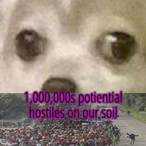 oh shit doggo | 1,000,000s potiential hostiles on our soil | image tagged in oh shit doggo | made w/ Imgflip meme maker