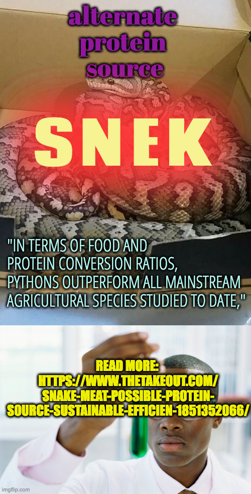 alternate 
protein 
source SNEK "IN TERMS OF FOOD AND PROTEIN CONVERSION RATIOS, 
PYTHONS OUTPERFORM ALL MAINSTREAM AGRICULTURAL SPECIES STU | image tagged in snake snek,scientist holding test tube | made w/ Imgflip meme maker