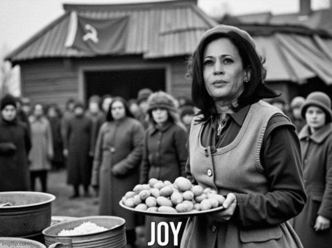 This is what joy looks like, according to the Democrats. | image tagged in kamala harris,democrat party,communists,marxism,traitors,presidential election | made w/ Imgflip meme maker