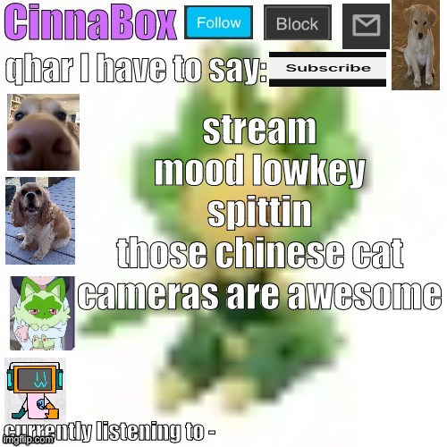 CinnaBox’s 144p Leavanny temp | stream mood lowkey spittin
those chinese cat cameras are awesome | image tagged in cinnabox s 144p leavanny temp | made w/ Imgflip meme maker