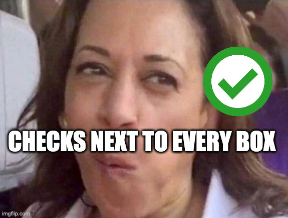 Kamala Harris | CHECKS NEXT TO EVERY BOX | image tagged in kamala harris | made w/ Imgflip meme maker