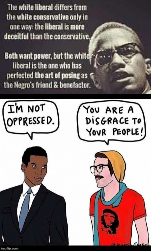 Uncomfortable Truths | image tagged in white liberal white conservative malcolm x,white leftist | made w/ Imgflip meme maker