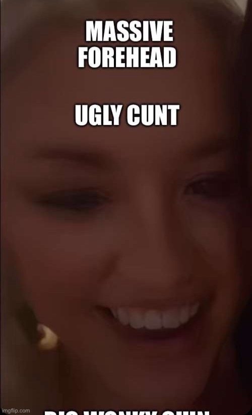 ensleys Is a ugly cunt | image tagged in ugly,ugly woman,ugly face | made w/ Imgflip meme maker