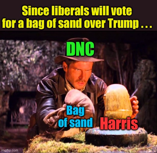 The sand has a better chance of winning, and a better economic plan | Since liberals will vote for a bag of sand over Trump . . . DNC; Bag of sand; Harris | image tagged in indiana jones switcheroo,kamala harris,swap | made w/ Imgflip meme maker