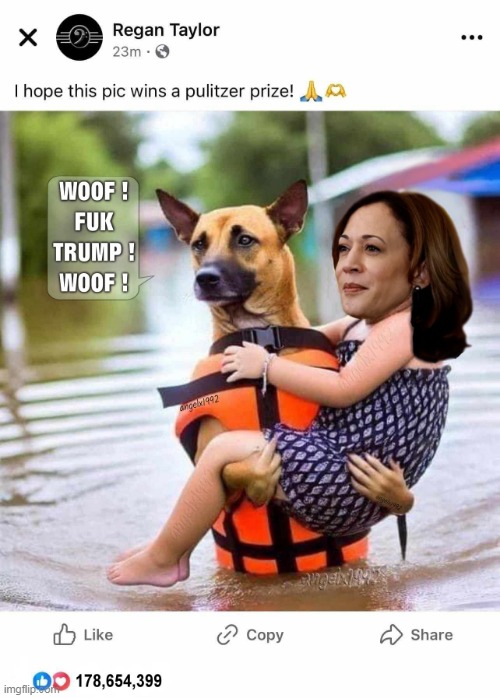 image tagged in hurricanes,dogs,kamala harris,clown car republicans,climate change,donald trump is an idiot | made w/ Imgflip meme maker