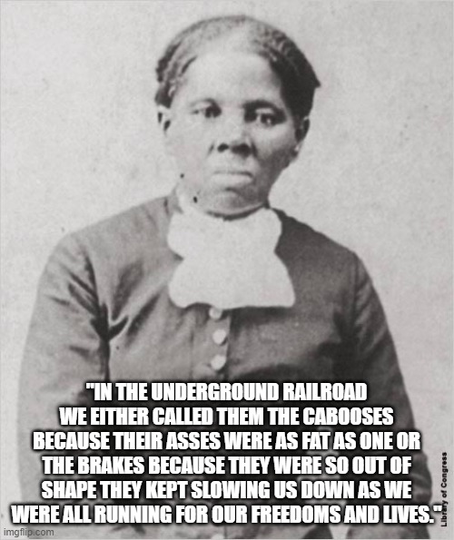 Harriet Tubman | "IN THE UNDERGROUND RAILROAD WE EITHER CALLED THEM THE CABOOSES BECAUSE THEIR ASSES WERE AS FAT AS ONE OR THE BRAKES BECAUSE THEY WERE SO OU | image tagged in harriet tubman | made w/ Imgflip meme maker