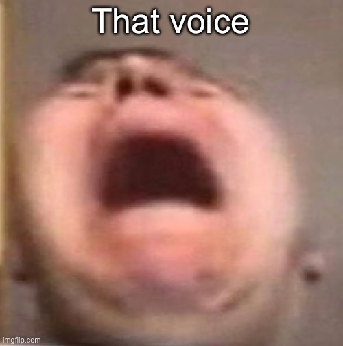 . | That voice | made w/ Imgflip meme maker