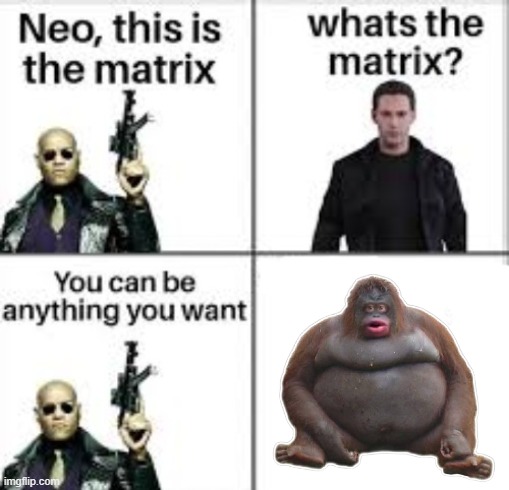 Neo this is the matrix | image tagged in neo this is the matrix | made w/ Imgflip meme maker