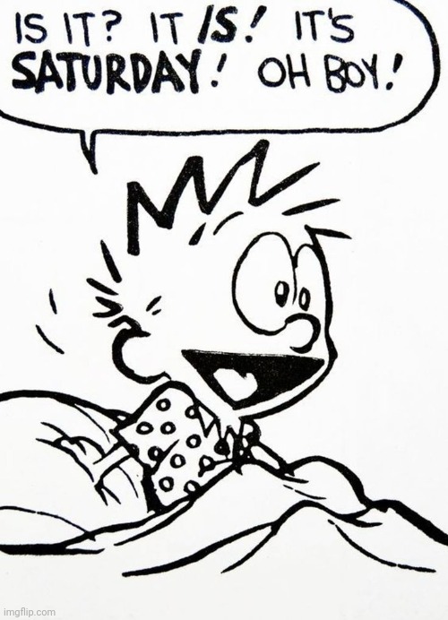 image tagged in calvin and hobbes | made w/ Imgflip meme maker