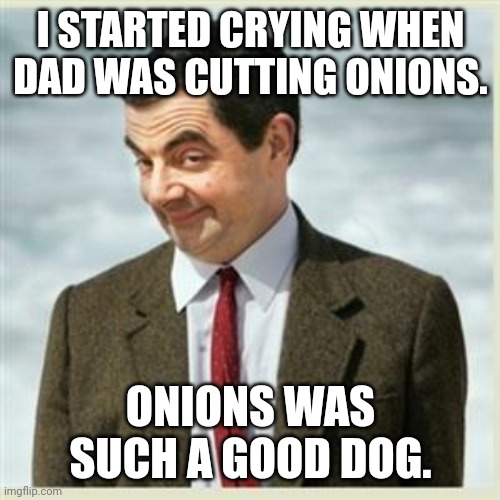 Good meal | I STARTED CRYING WHEN DAD WAS CUTTING ONIONS. ONIONS WAS SUCH A GOOD DOG. | image tagged in mr bean smirk,memes,dark humour,dark humor | made w/ Imgflip meme maker