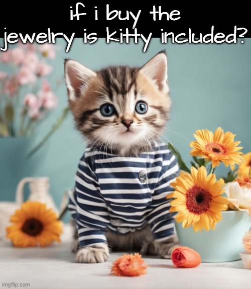 if i buy the jewelry is kitty included? | made w/ Imgflip meme maker