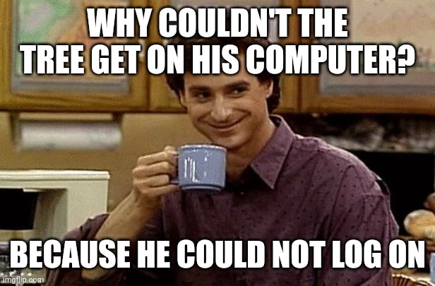 Log on | WHY COULDN'T THE TREE GET ON HIS COMPUTER? BECAUSE HE COULD NOT LOG ON | image tagged in dad joke,dad jokes,dad joke meme,memes | made w/ Imgflip meme maker