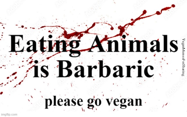 Animals Are Not Commodities | image tagged in vegan,veganism,bacon,hamburger,steak,chicken | made w/ Imgflip meme maker