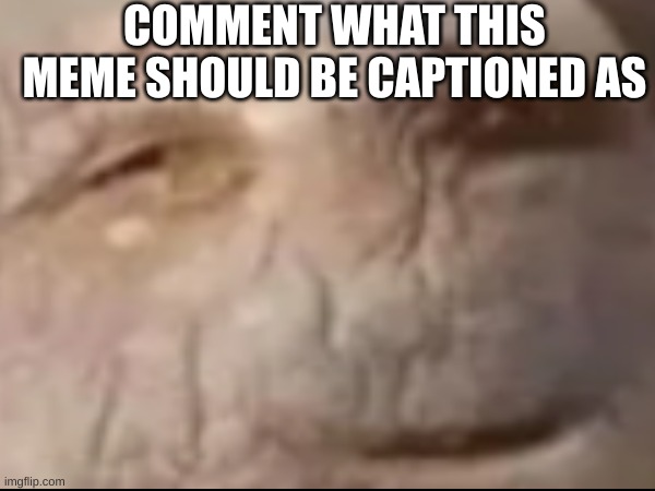 awesome title | COMMENT WHAT THIS MEME SHOULD BE CAPTIONED AS | image tagged in potato | made w/ Imgflip meme maker