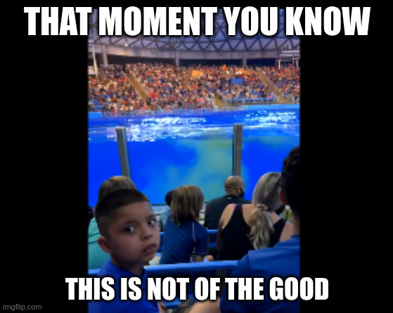 Whale shit incoming | THAT MOMENT YOU KNOW; THIS IS NOT OF THE GOOD | image tagged in memes | made w/ Imgflip meme maker