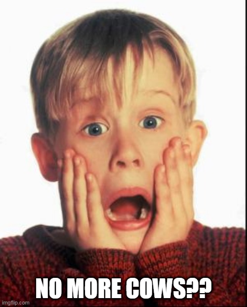 Home Alone Kid  | NO MORE COWS?? | image tagged in home alone kid | made w/ Imgflip meme maker