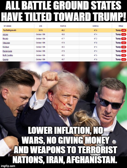 Voting for President Trump is just common sense!! | ALL BATTLE GROUND STATES HAVE TILTED TOWARD TRUMP! LOWER INFLATION, NO WARS, NO GIVING MONEY AND WEAPONS TO TERRORIST NATIONS, IRAN, AFGHANISTAN. | image tagged in common sense | made w/ Imgflip meme maker