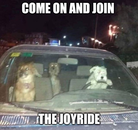 Join the joyride | COME ON AND JOIN; THE JOYRIDE | image tagged in joyride,funny memes | made w/ Imgflip meme maker