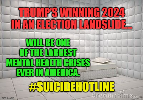 insane asylum pillow room | TRUMP'S WINNING 2024 IN AN ELECTION LANDSLIDE... WILL BE ONE OF THE LARGEST MENTAL HEALTH CRISES EVER IN AMERICA. #SUICIDEHOTLINE | image tagged in insane asylum pillow room | made w/ Imgflip meme maker