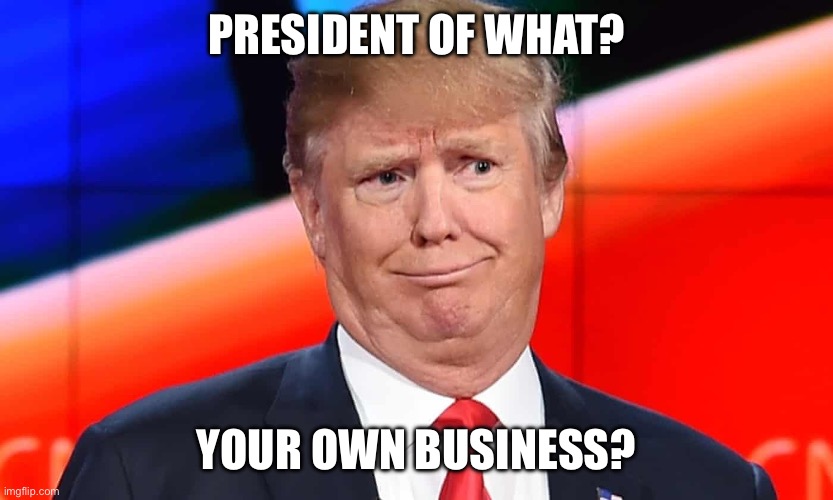 Trump cringes | PRESIDENT OF WHAT? YOUR OWN BUSINESS? | image tagged in trump cringes | made w/ Imgflip meme maker
