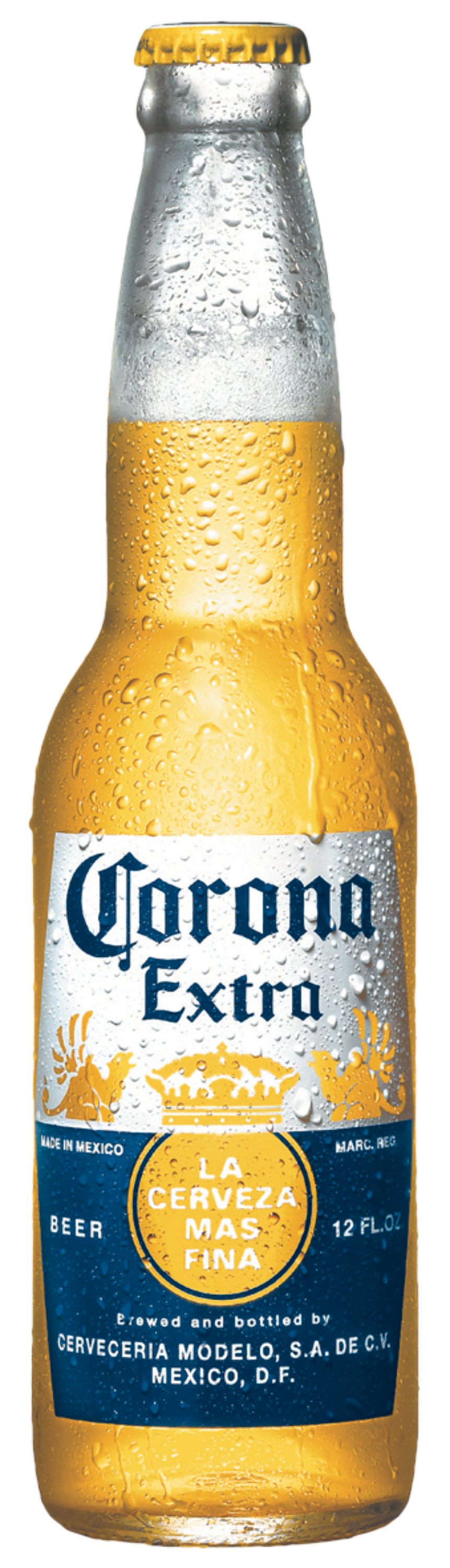 Botella cerveza corona helada Blank Meme Template