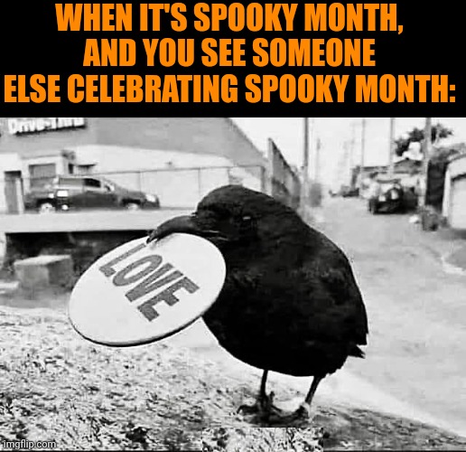 ANYONE CELEBRATING SPOOKY MONTH DESERVES LOVE | WHEN IT'S SPOOKY MONTH, AND YOU SEE SOMEONE ELSE CELEBRATING SPOOKY MONTH: | image tagged in spooky month,spooktober,crow,halloween | made w/ Imgflip meme maker