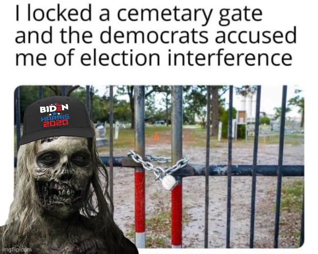 Democrats election interference | image tagged in zombie,democrats,voter fraud | made w/ Imgflip meme maker