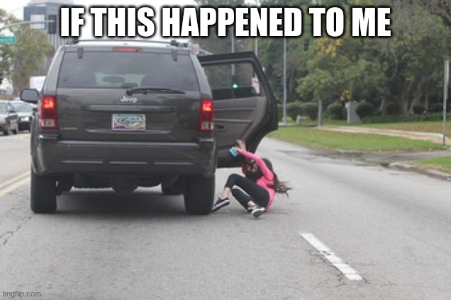 Kicked Out of Car | IF THIS HAPPENED TO ME | image tagged in kicked out of car | made w/ Imgflip meme maker