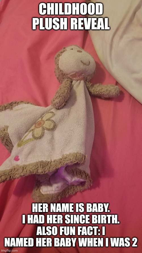 CHILDHOOD PLUSH REVEAL; HER NAME IS BABY. I HAD HER SINCE BIRTH. ALSO FUN FACT: I NAMED HER BABY WHEN I WAS 2 | image tagged in childhood plush | made w/ Imgflip meme maker
