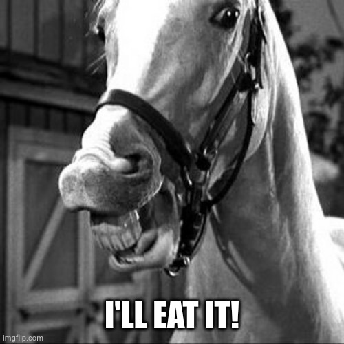 Mr. Ed | I'LL EAT IT! | image tagged in mr ed | made w/ Imgflip meme maker