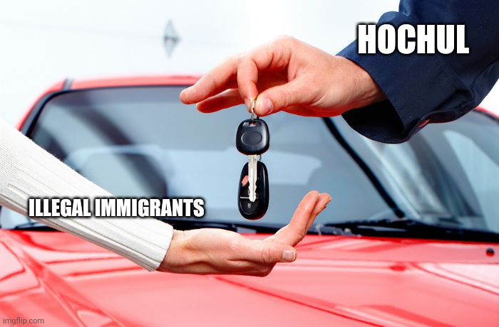 Car Keys | HOCHUL ILLEGAL IMMIGRANTS | image tagged in car keys | made w/ Imgflip meme maker