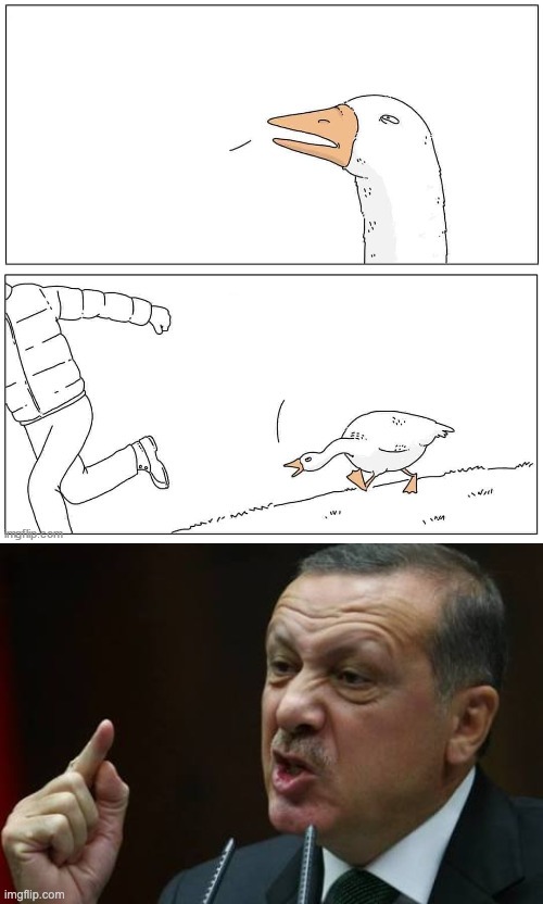 Erdogans | image tagged in goose chase,erdogan | made w/ Imgflip meme maker