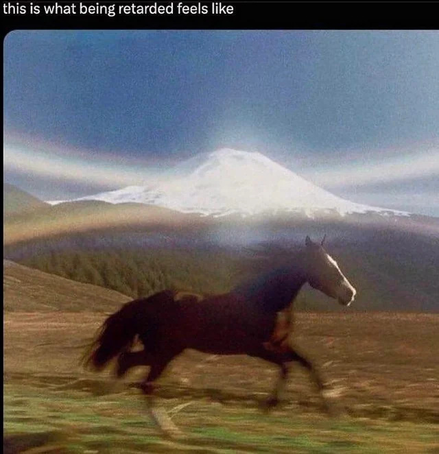 High Quality what feelslike Blank Meme Template