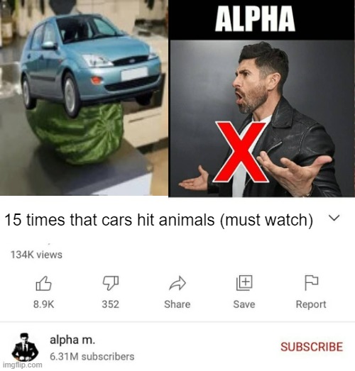 15 signs you're a sigma male is it better than alpha | 15 times that cars hit animals (must watch) | image tagged in 15 signs you're a sigma male is it better than alpha | made w/ Imgflip meme maker
