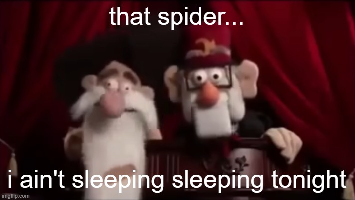 Stan and Mcguckit: Muppet edition | that spider... i ain't sleeping sleeping tonight | image tagged in stan and mcgukit muppet edition | made w/ Imgflip meme maker