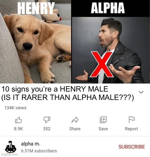 15 signs you're a sigma male is it better than alpha | HENRY; 10 signs you’re a HENRY MALE (IS IT RARER THAN ALPHA MALE???) | image tagged in 15 signs you're a sigma male is it better than alpha | made w/ Imgflip meme maker