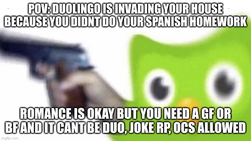 Spanish or Vanish | POV: DUOLINGO IS INVADING YOUR HOUSE BECAUSE YOU DIDNT DO YOUR SPANISH HOMEWORK; ROMANCE IS OKAY BUT YOU NEED A GF OR BF AND IT CANT BE DUO, JOKE RP, OCS ALLOWED | image tagged in duolingo gun | made w/ Imgflip meme maker