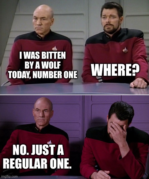 Halloween | WHERE? I WAS BITTEN BY A WOLF TODAY, NUMBER ONE; NO. JUST A REGULAR ONE. | image tagged in picard riker listening to a pun | made w/ Imgflip meme maker