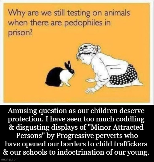 Reject Liberalism--an assault on our most vulnerable & innocent population and their minds. | Amusing question as our children deserve 
protection. I have seen too much coddling 
& disgusting displays of "Minor Attracted 
Persons" by Progressive perverts who
have opened our borders to child traffickers 
& our schools to indoctrination of our young. | image tagged in food for thought,pedophilia,pedophiles,liberalism,innocence of children,protection | made w/ Imgflip meme maker