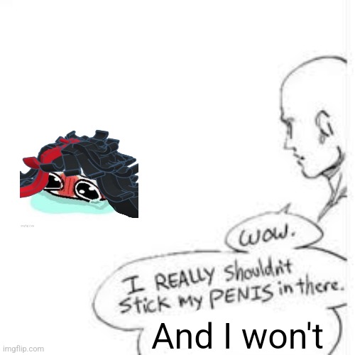 Wow, i really shouldn't stick my- | And I won't | image tagged in wow i really shouldn't stick my- | made w/ Imgflip meme maker