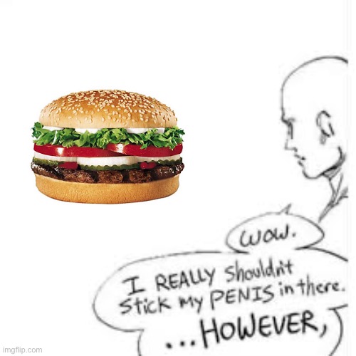 Wow | image tagged in wow i really shouldn't stick my- | made w/ Imgflip meme maker