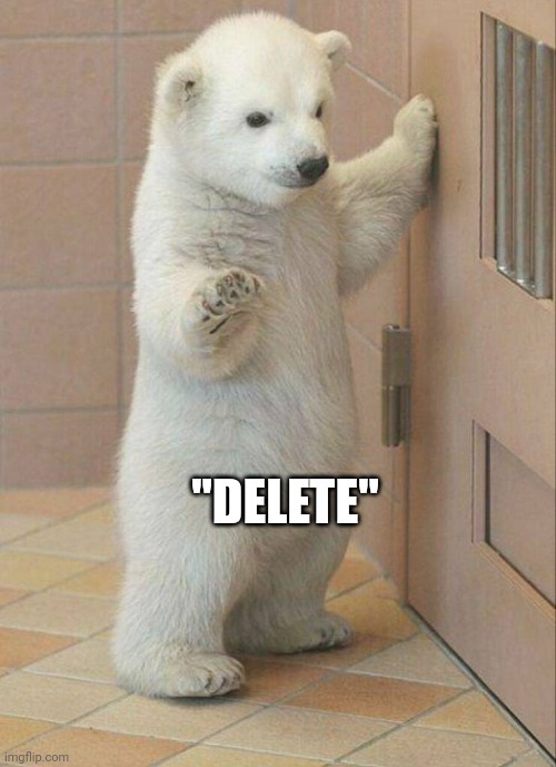 Not now Bear | "DELETE" | image tagged in not now bear | made w/ Imgflip meme maker