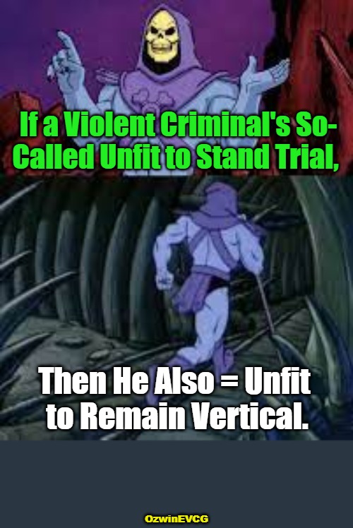 UFTSS = UFTRV | If a Violent Criminal's So-

Called Unfit to Stand Trial, Then He Also = Unfit 

to Remain Vertical. OzwinEVCG | image tagged in skeletor until next time,crime and punishment,liberal logic,clown world,falling standards,tax reform | made w/ Imgflip meme maker