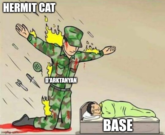 Relatable? | HERMIT CAT; D'ARKTANYAN; BASE | image tagged in soldier protecting sleeping child | made w/ Imgflip meme maker