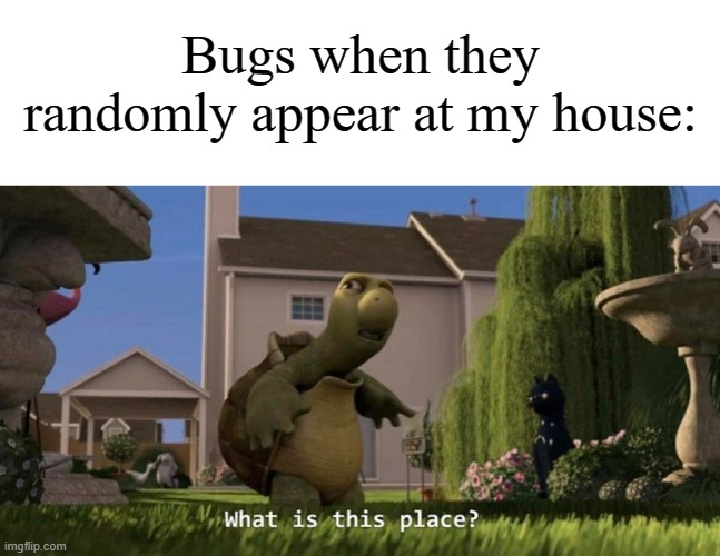 Why does this happen to me all the time | Bugs when they randomly appear at my house: | image tagged in what is this place,memes,funny,why are you reading this | made w/ Imgflip meme maker